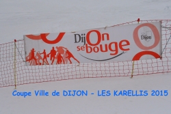Coupe de la ville de Dijon 03/2015
